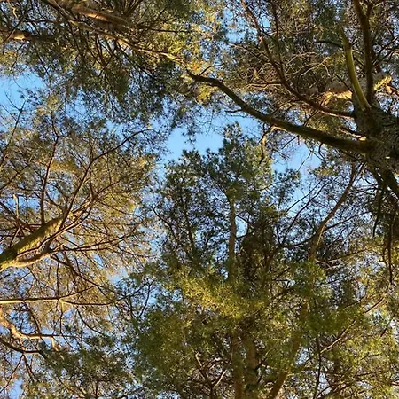 District In 1 Acre Gardens Off M6