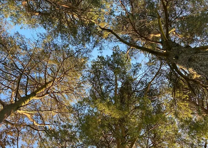 District In 1 Acre Gardens Off M6