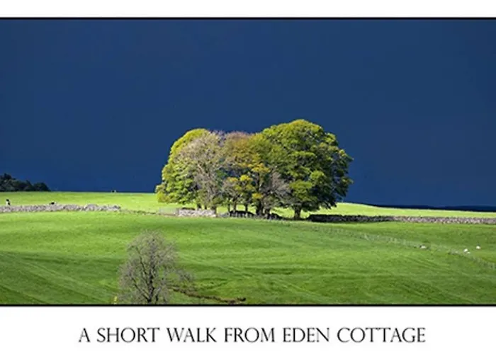 District In 1 Acre Gardens Off M6 Country house *