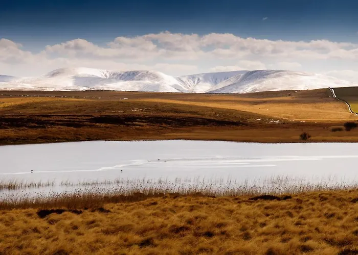 District In 1 Acre Gardens Off M6 Country house *